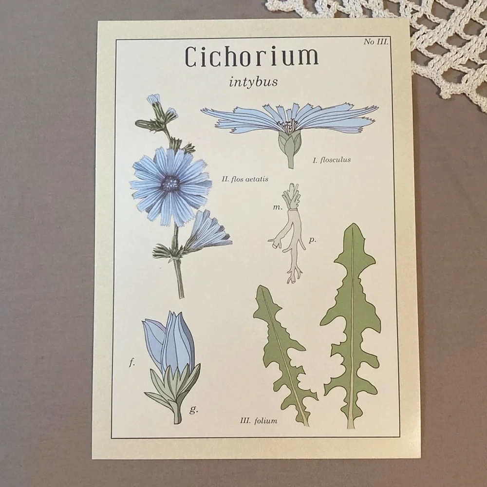 New IKEA Vintage Flowers Botanical Prints Set By Maria Mendez
